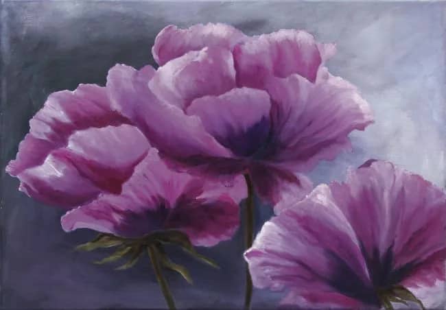 Roze klaprozen (olieverf) — Anneke Janszen