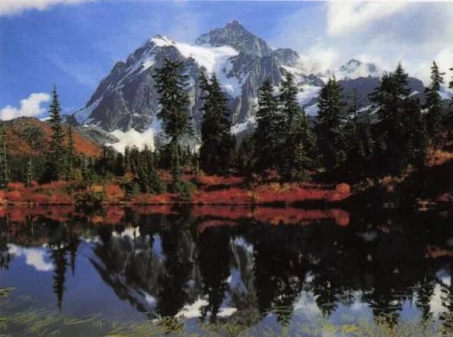 Fall colors —  Tuttle