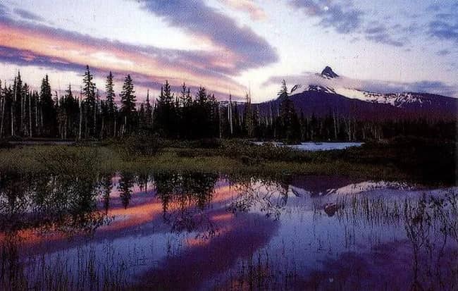 Moonrise —  Tuttle