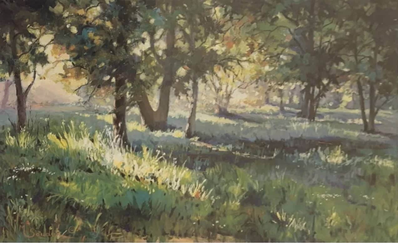 Sunlit glade —  Saudek