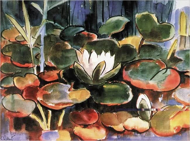 Waterlilies —  Rotluff