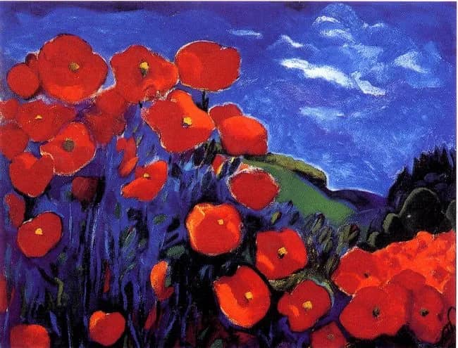 Mohnblumen —  Vd Erde