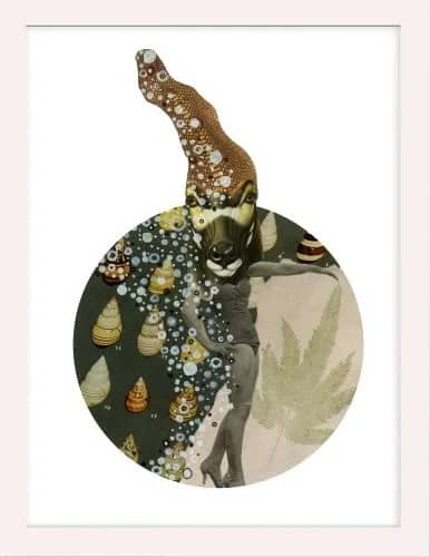 Collage 2 of 9 — Jalinka Gressmann