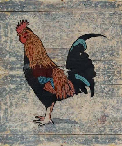 De haan — Peer Rutten