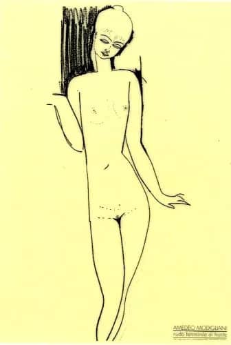 Nudo di fronte —  Modigliani