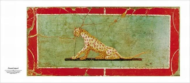 Frescoed leopard — Unknow artist Anonymous