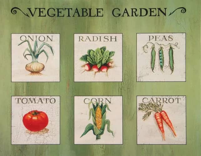 Vegetable garden —  Huber