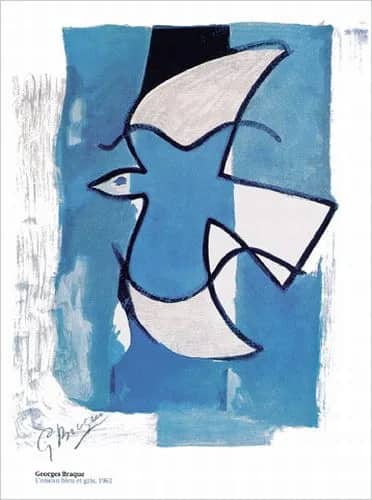L"oiseau bleu & gris —  Braque