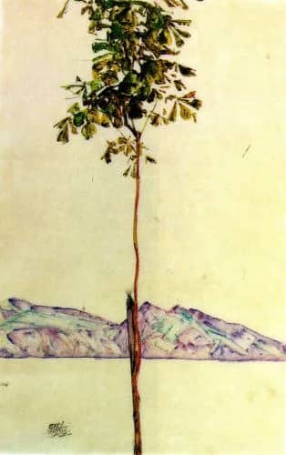 Piccolo albero — Egon Schiele