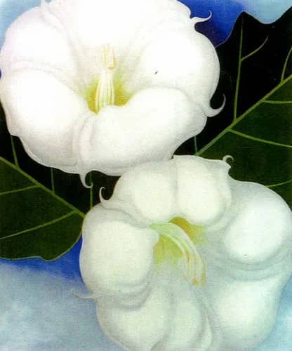 Jimson weeds — Georgia O"keeffe