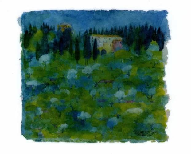 Olivenhang/toskana —  Westphal