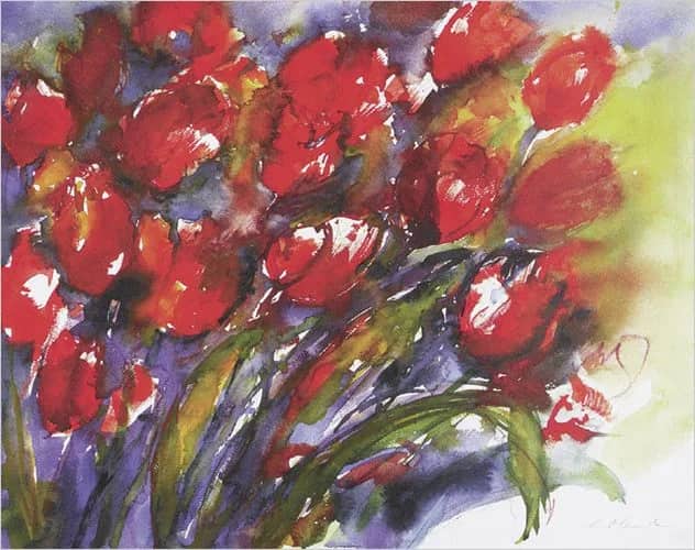 Rode tulpen —  Ohland