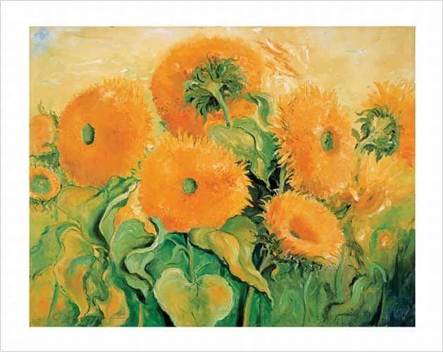 Zonnebloemen —  Sommer