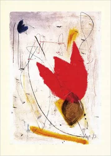 Rote tulpe... —  Meijer