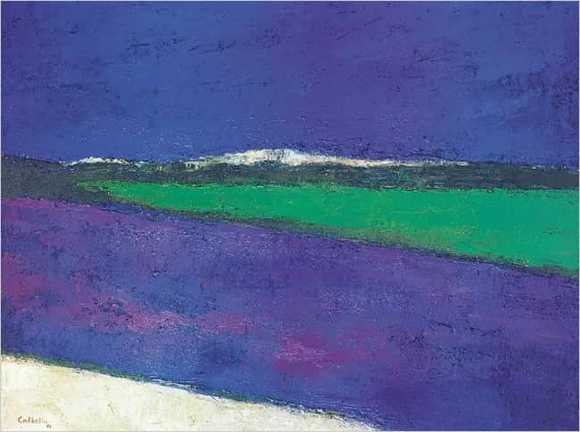 Champs de lavandes —  Cathelin