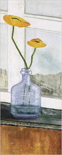 Gelber mohn —  Munke