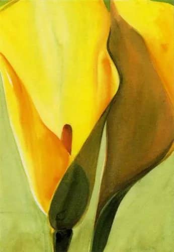 Lightening flowers —  Bedoui