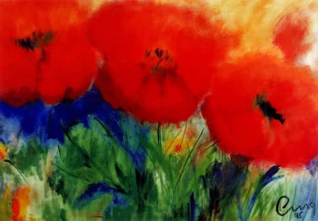 Mohnblumen       2hp —  Jung