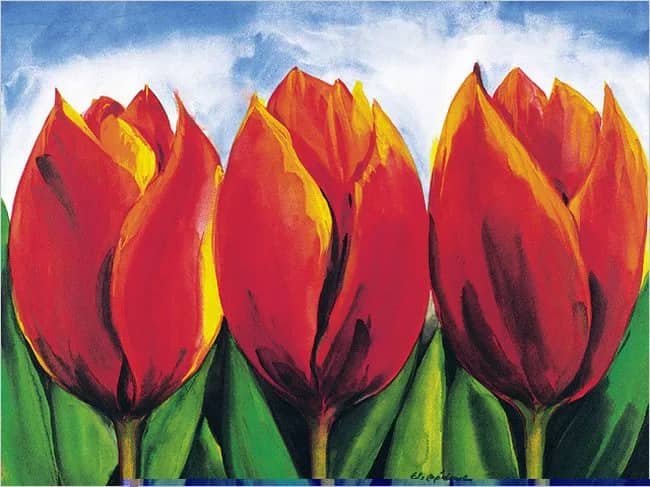 Keukenhof —  Bedoui
