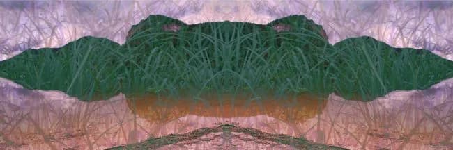 Green Rithm — Margot van de Stolpe