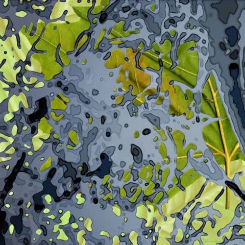Interleaved — Margot van de Stolpe