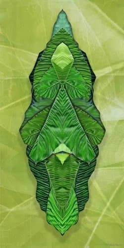 Green shield II — Margot van de Stolpe
