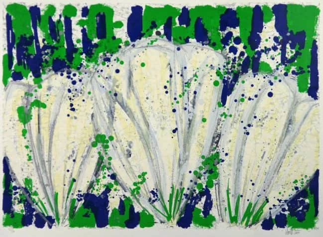Tulpen wit /60 — Ad van Hassel