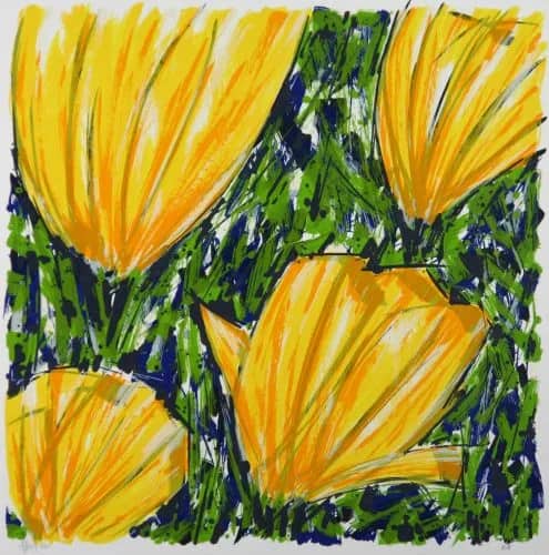 Tulpen geel — Ad van Hassel