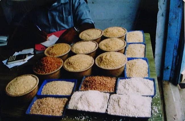 E1-6 India — Tini Doornewaard