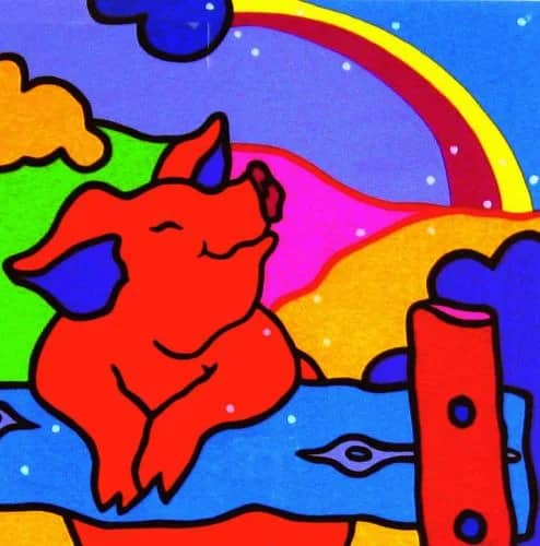 Varken, regenboog — Shunyam