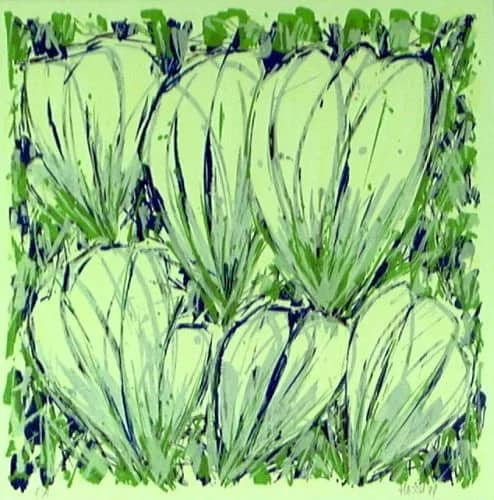 Krokussen wit /50 — Ad van Hassel