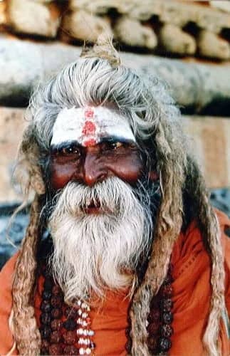AA1-6 India (Saduh) — Tini Doornewaard