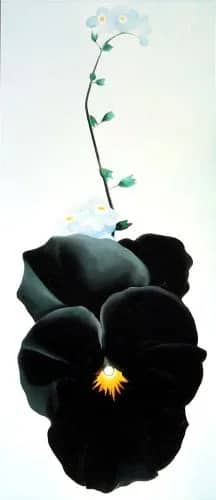 Pansy,1926 — Georgia O"keefe
