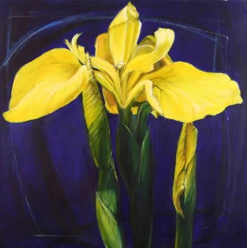 Gele Lissen — Jeroen Dercksen
