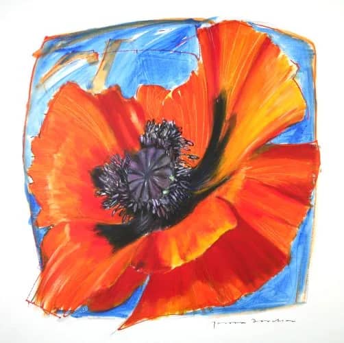 Papaver IV — Jeroen Dercksen
