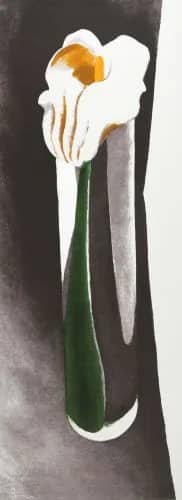 Calla Lily... — Georgia O"keeffe