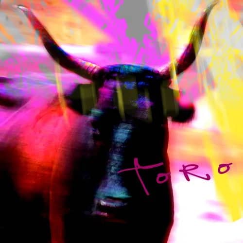 Torooo — Leon Bosboom