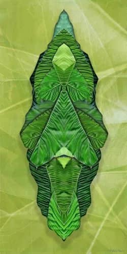 Green shield II — Margot van de Stolpe