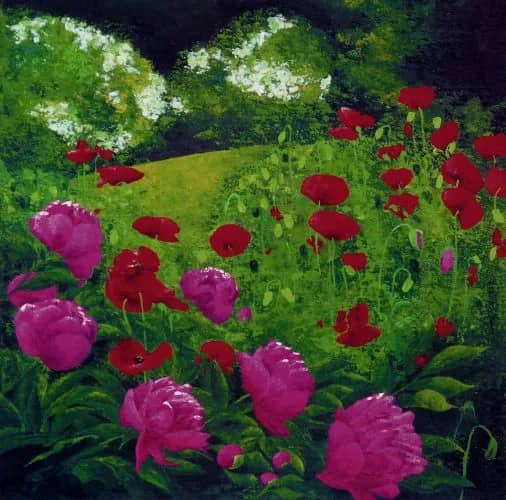 Pivoines et coquelicots au jardin — Jordane D. Grux
