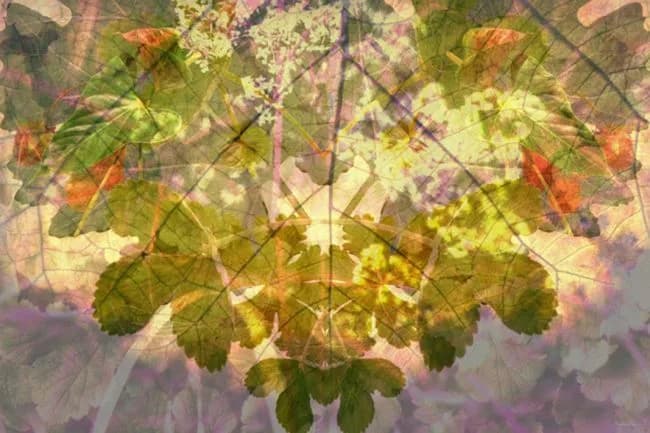 Green Spirit — Margot van de Stolpe