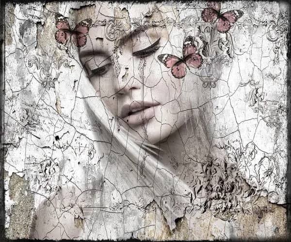 See the butterfly — Hans Jochem Bakker