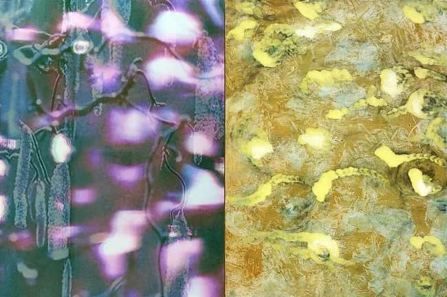Structuren II / foto en acryl — Marianne van Hest