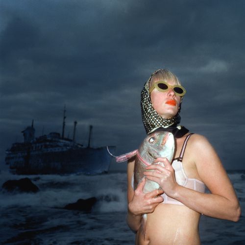 “Fritz” star 1/5