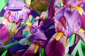 LILY