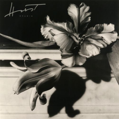 Horst