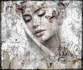See the butterfly