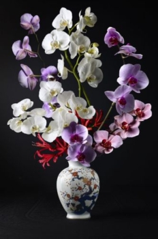 Royal Zen II