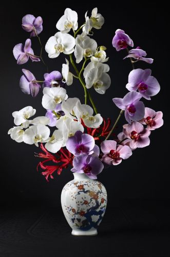 Royal Zen II