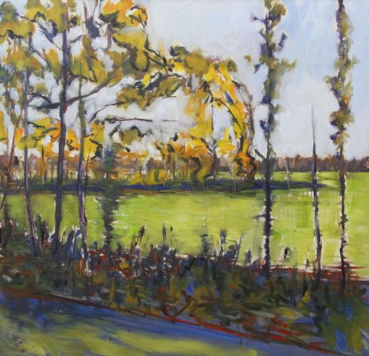 Leusderheide